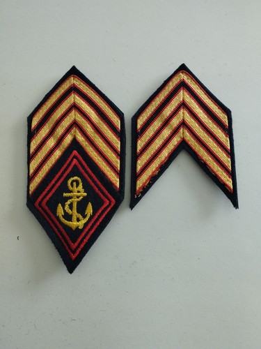 Galons tradition sergent major - galons, sergent-major